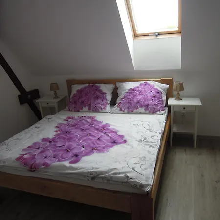 Zamek Drahonice Resort *