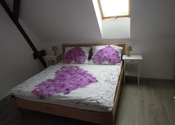 Zamek Drahonice Resort *